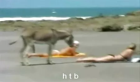 Big awek lucah Tits Dengan Orang Dewasa.