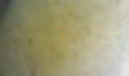Gadis-gadis harus meminta maaf awek lucah melayu dan menghisap teman Dick.