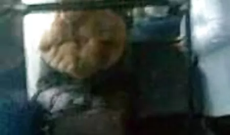 Mengajar video lucah awek bertudung membuat cinta.